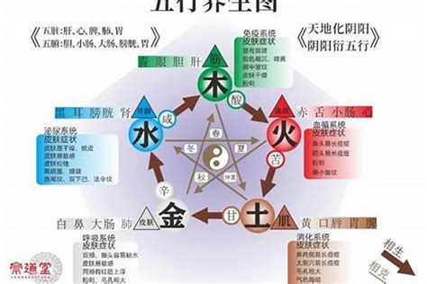 五行屬木缺什麼|【5行缺木】五行缺木？影響性格和命運，別擔心！教你補救與注。